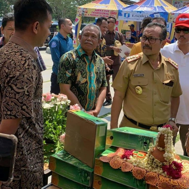 Dulhadi Bupati crb