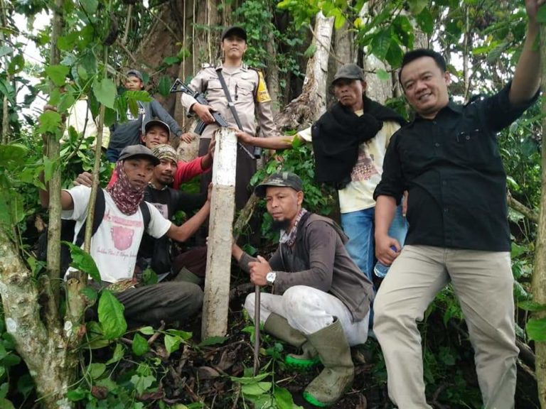 Hutan lindung
