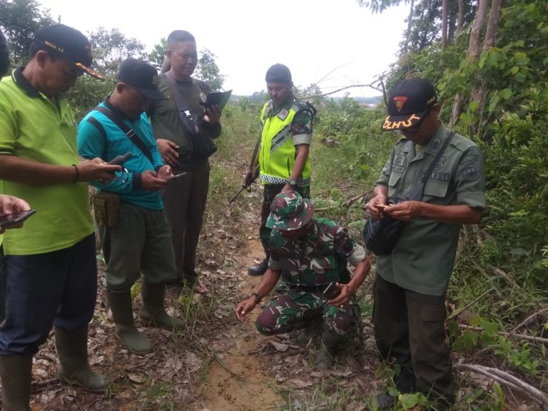 TAPAK ANJING