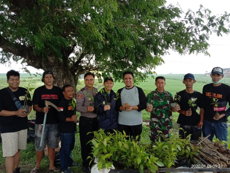 Tanam Pohon