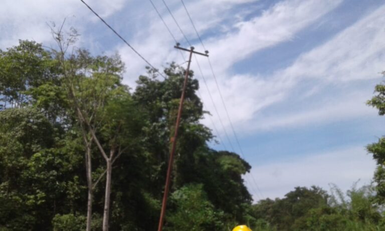pln
