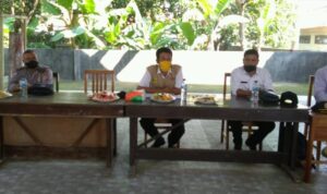 Desa1