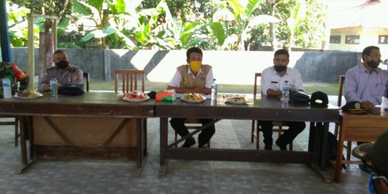 Desa1