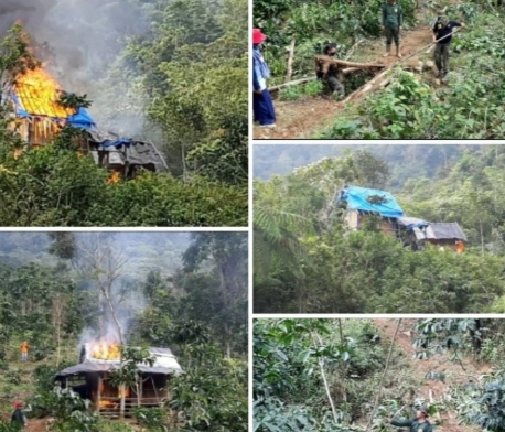hutan