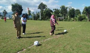 helmi