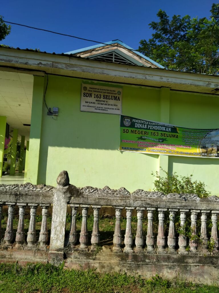 sdn