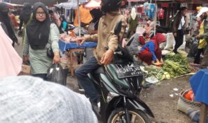HELMI