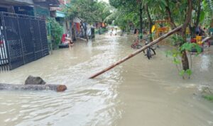 lor