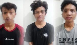 LSN1