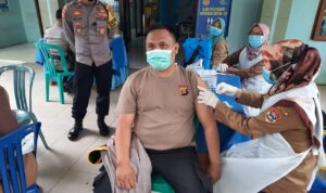 helmi4