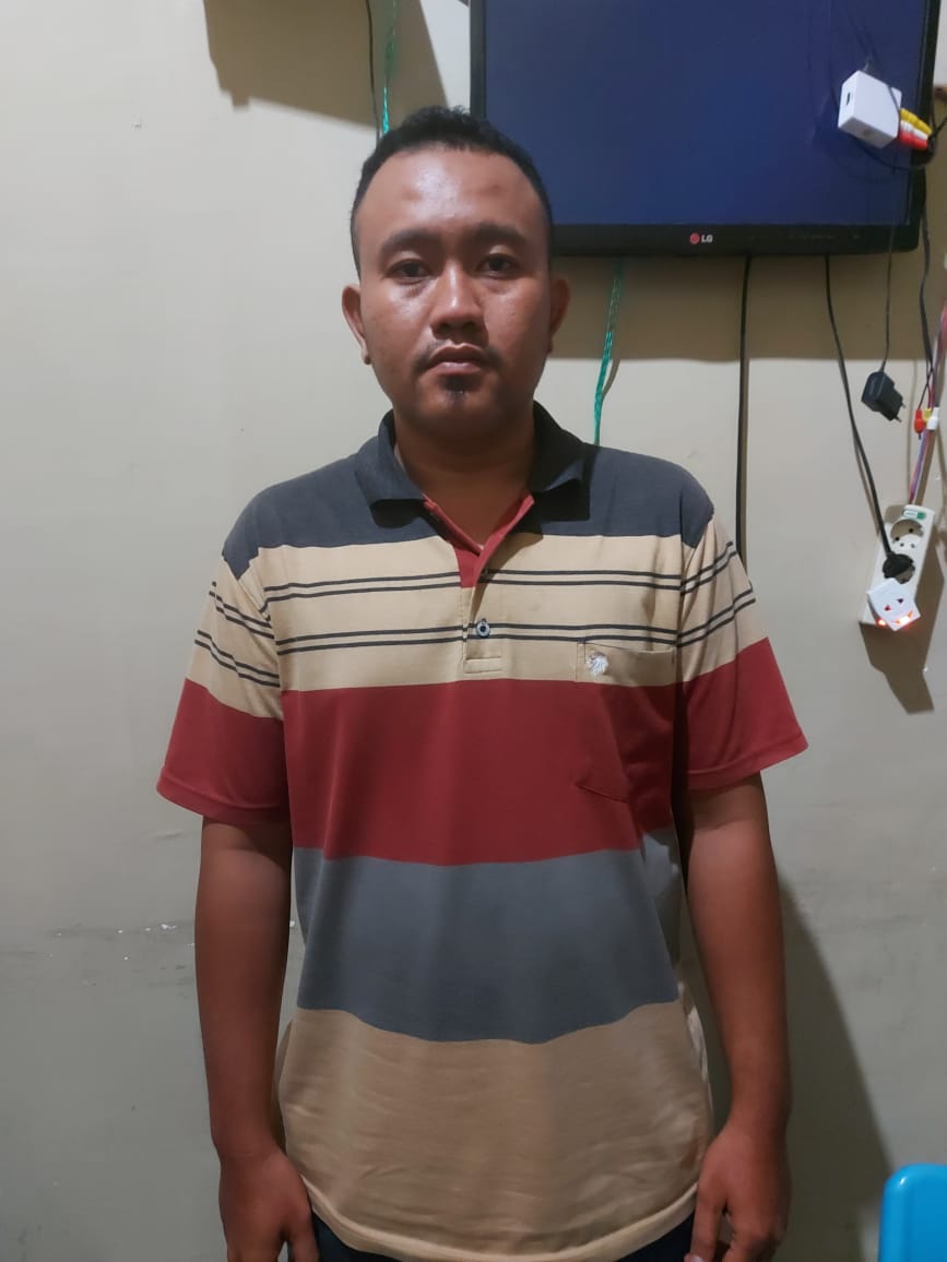 helmi6