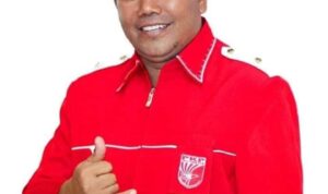helmi12