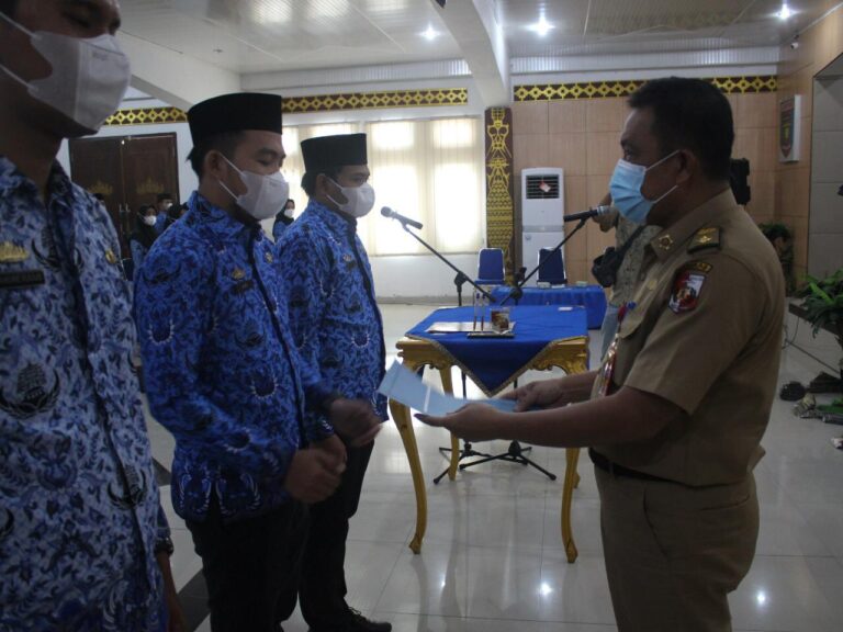 angga8