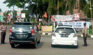 arif1
