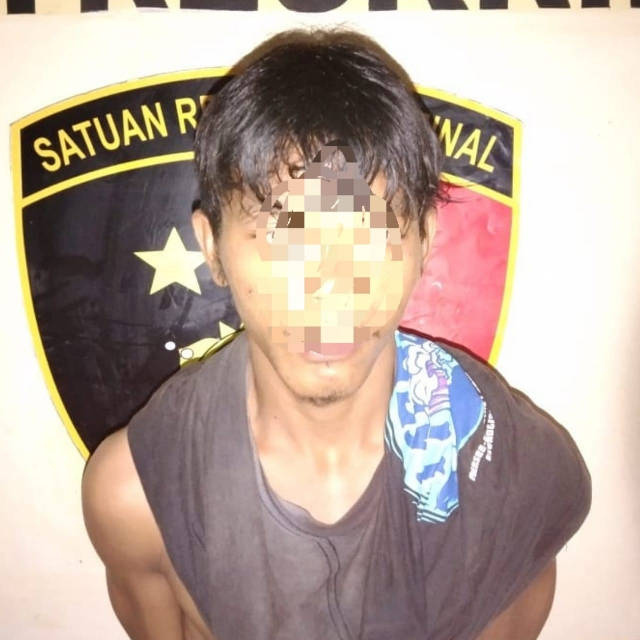 angga1