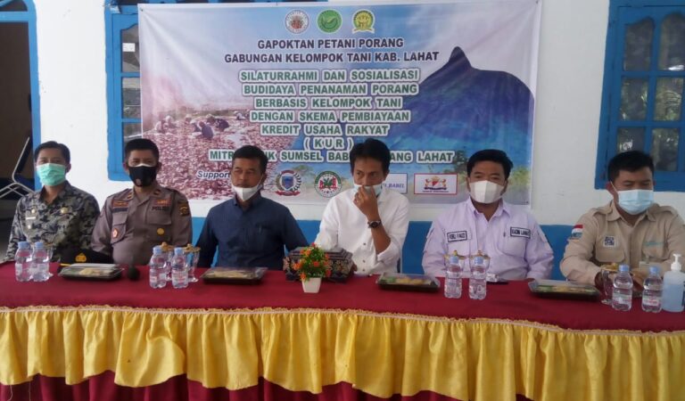 helmi2