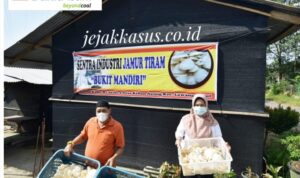 IMG-20210712-WA0009