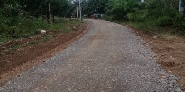 IMG_20211021_192432