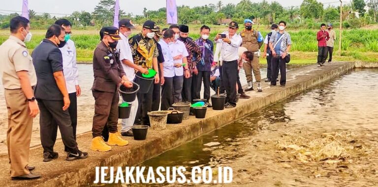 ajk6