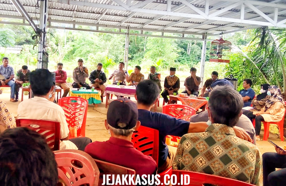 IMG-20220121-WA0018-01