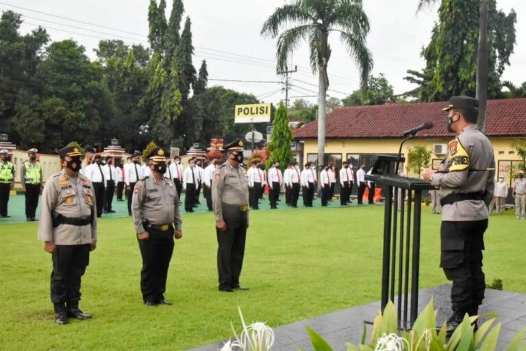 arif8
