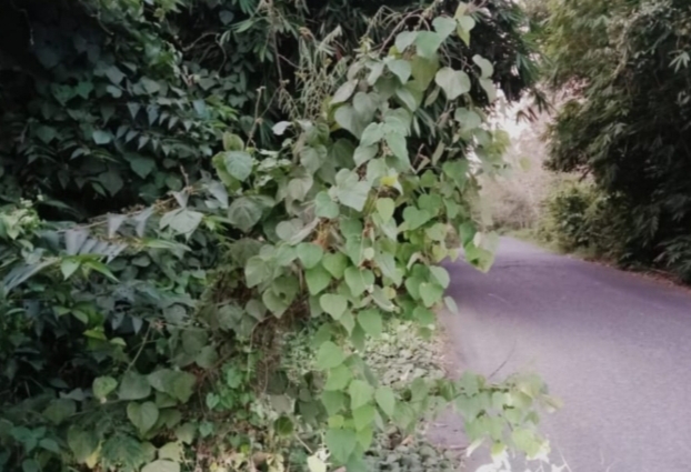 jalan2