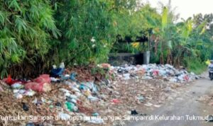 sampah2