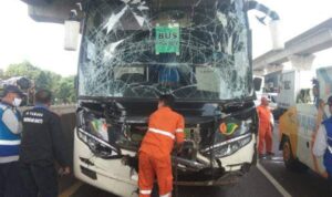 bus