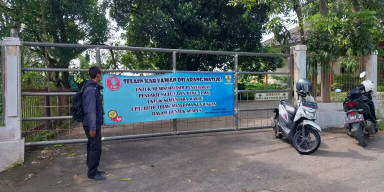 kadis