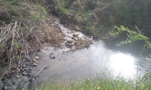 IMG-20220702-WA0011