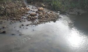 IMG-20220707-WA0024