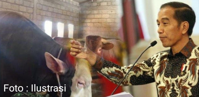 joko2