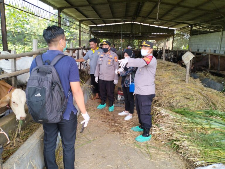 sapi
