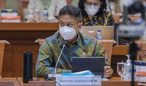 budi