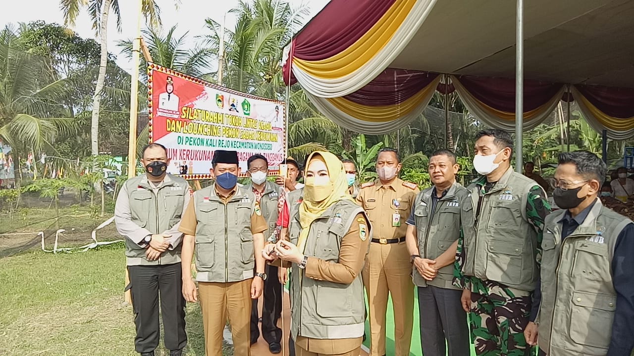 dewi