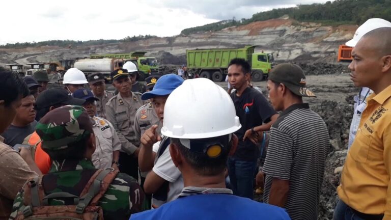 damai2