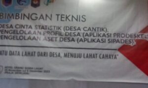 aap3