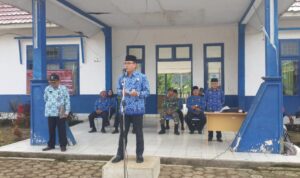alaman1