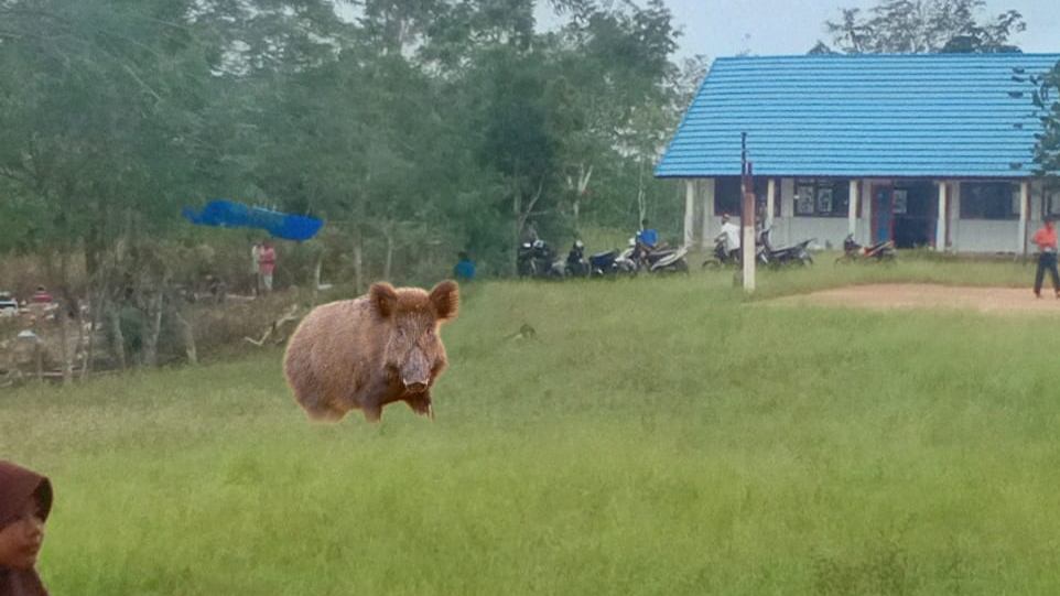 aa00100991