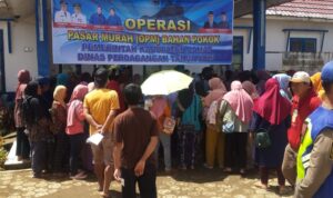 IMG-20230408-WA0011