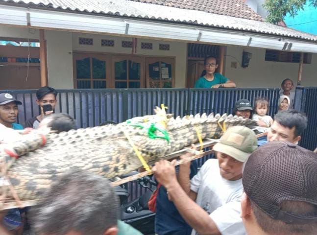 IMG-20230727-WA0010