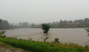 IMG-20240108-WA0011