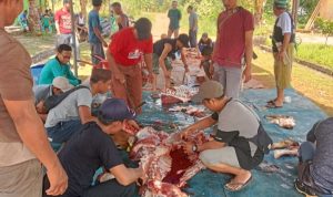 IMG_20240618_105651