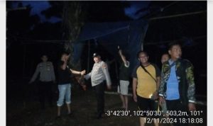 IMG-20241114-WA0008
