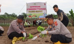IMG-20241215-WA0019
