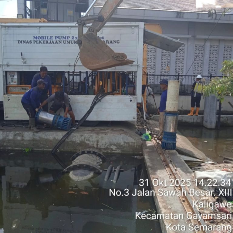 1761927932065.IMG-20251031-WA0080@1110216212_copy_900x900