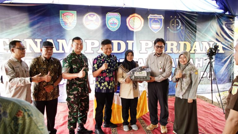 WhatsApp Image 2025-11-04 at 15.45.30