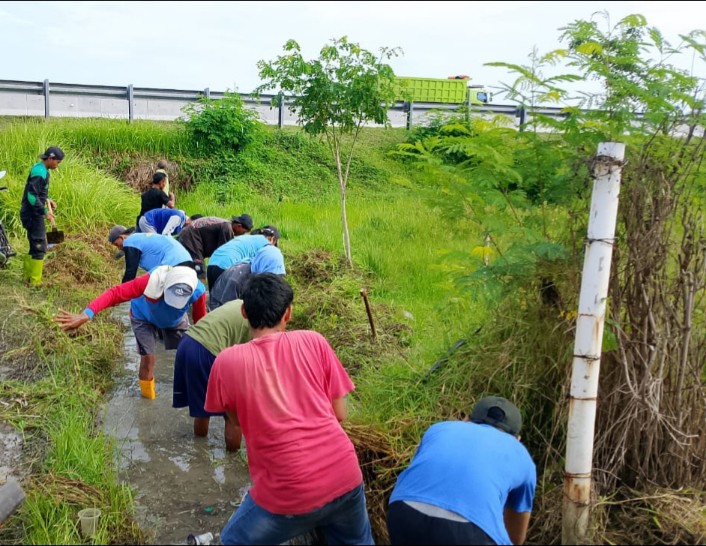 1763259995910.IMG-20251116-WA0004_copy_706x546