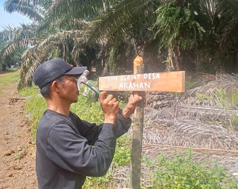 WhatsApp Image 2025-11-29 at 19.29.37 (1)