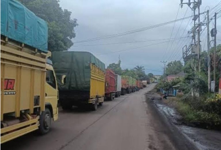 IMG_20251205_140703_695